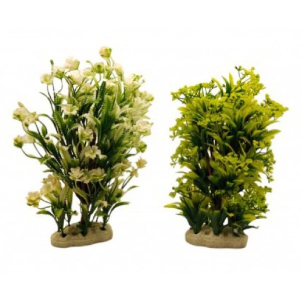 ΔΙΑΚΟΣΜΗΤΙΚΟ ΦΥΤΟ ΕΝΥΔΡΕΙΟΥ ΣΕ 2 ΣΧΕΔΙΑ 26Χ8CM & 23X8.8CM